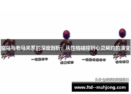 魔鸟与老马关系的深度剖析:从性格碰撞到心灵契约的演变 魔鸟与老马关系的深度剖析:从性格碰撞到心灵契约的演变