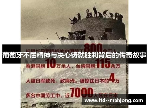 葡萄牙不屈精神与决心铸就胜利背后的传奇故事