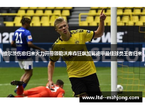 维尔茨伤愈归来火力开带领勒沃库森狂飙加冕德甲最佳球员王者归来 维尔茨伤愈归来火力开带领勒沃库森狂飙加冕德甲最佳球员王者归来