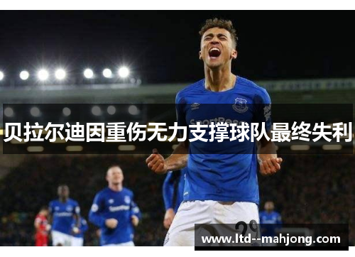 贝拉尔迪因重伤无力支撑球队最终失利 贝拉尔迪因重伤无力支撑球队最终失利