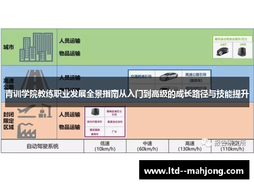 青训学院教练职业发展全景指南从入门到高级的成长路径与技能提升 青训学院教练职业发展全景指南从入门到高级的成长路径与技能提升